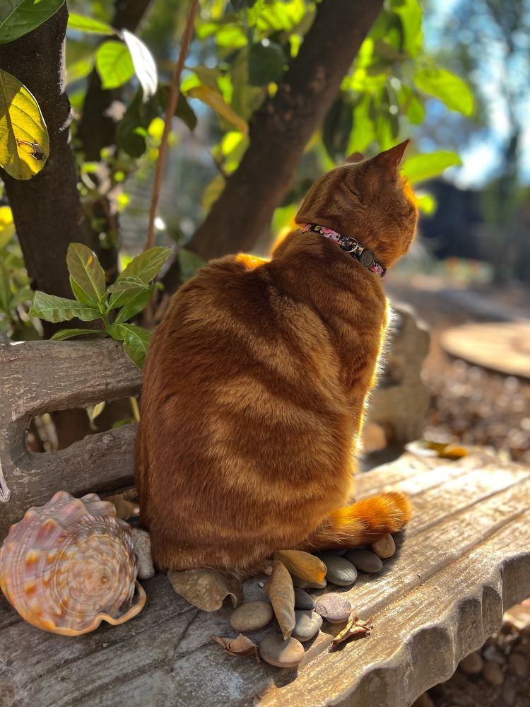 South Africa Pretoria