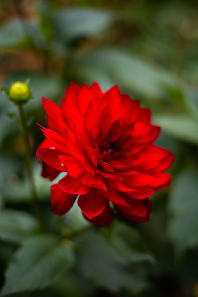 Photograph by Елена Изотова