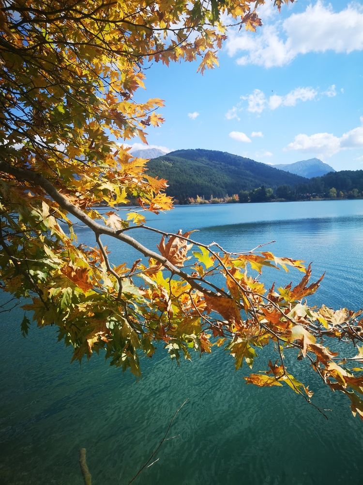 Фотография автора Maria Tsitoura