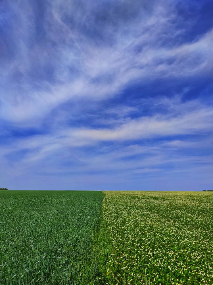 Photograph by Николай Захаров