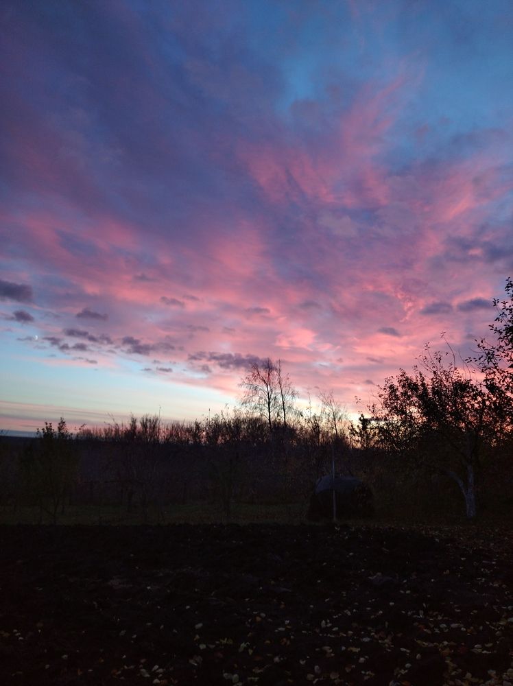 Photograph by Елена Коробченко