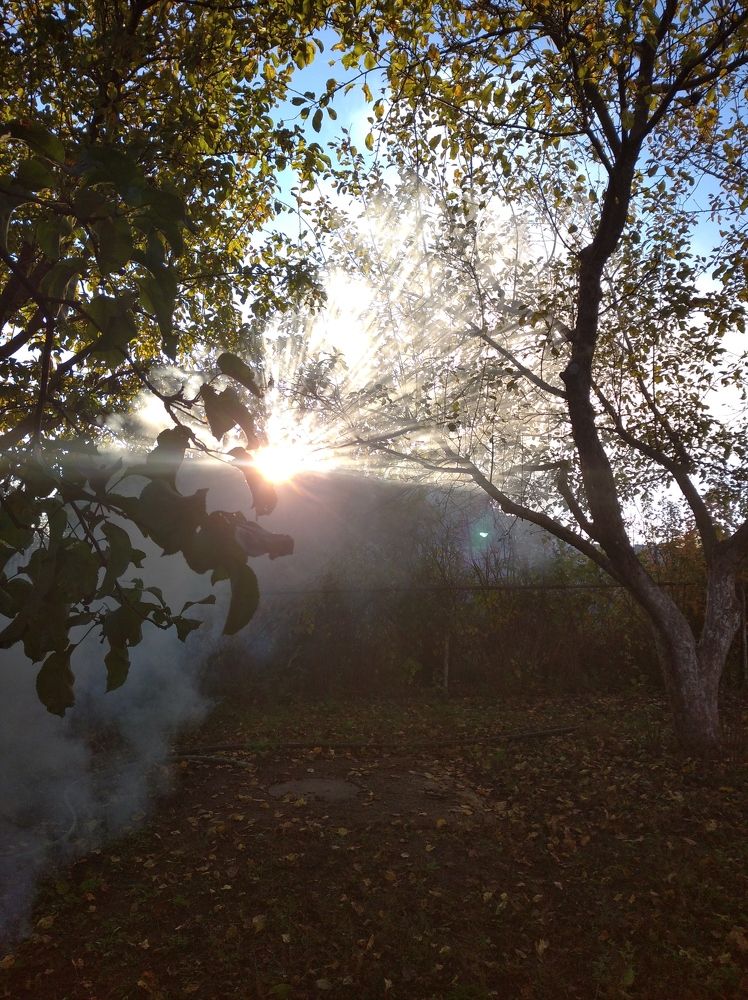 Photograph by Елена Коробченко