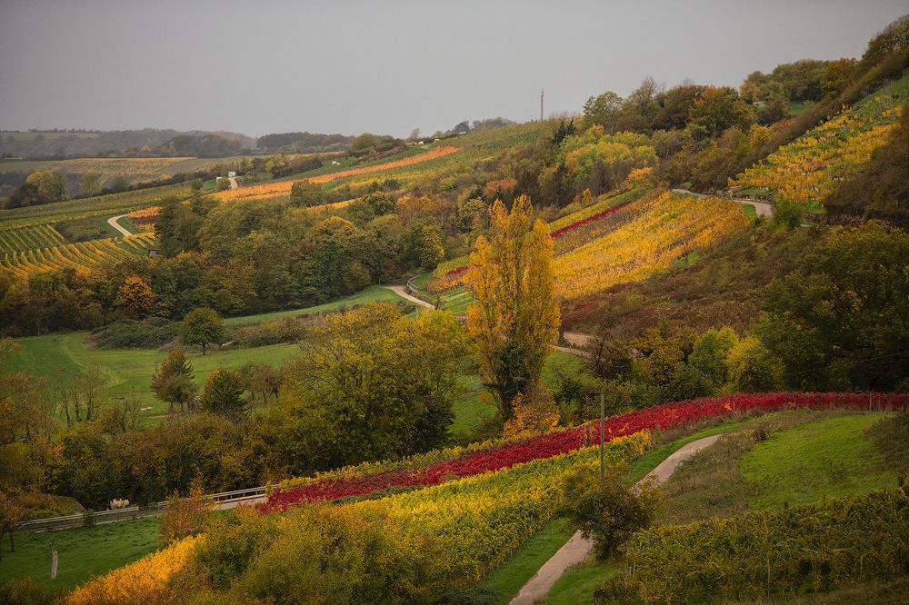Photograph by Юлия Борт