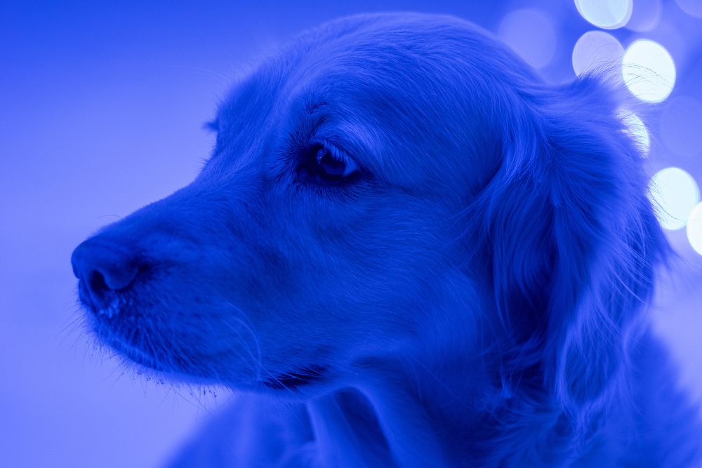 Photograph by Васильцова Наталья