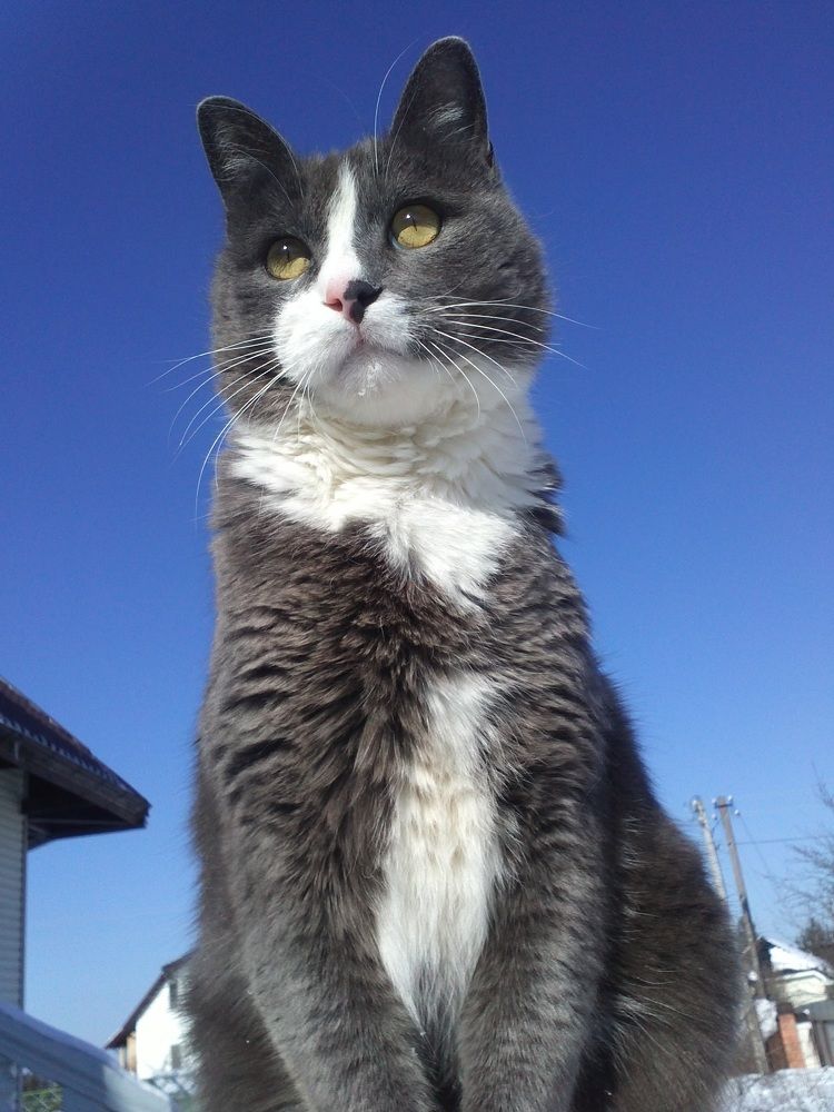 Photograph by Дарья Михайловна