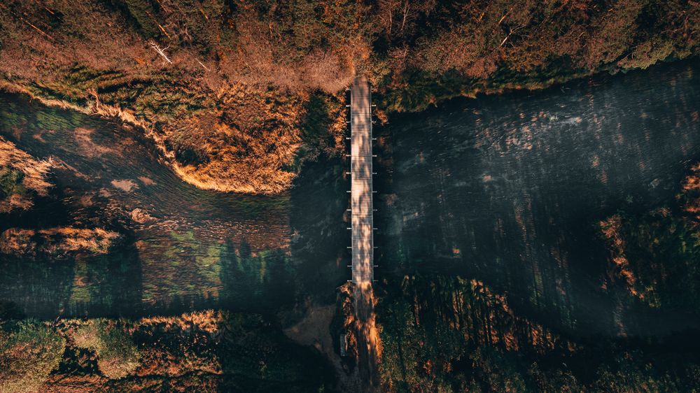 Photograph by Karol EM