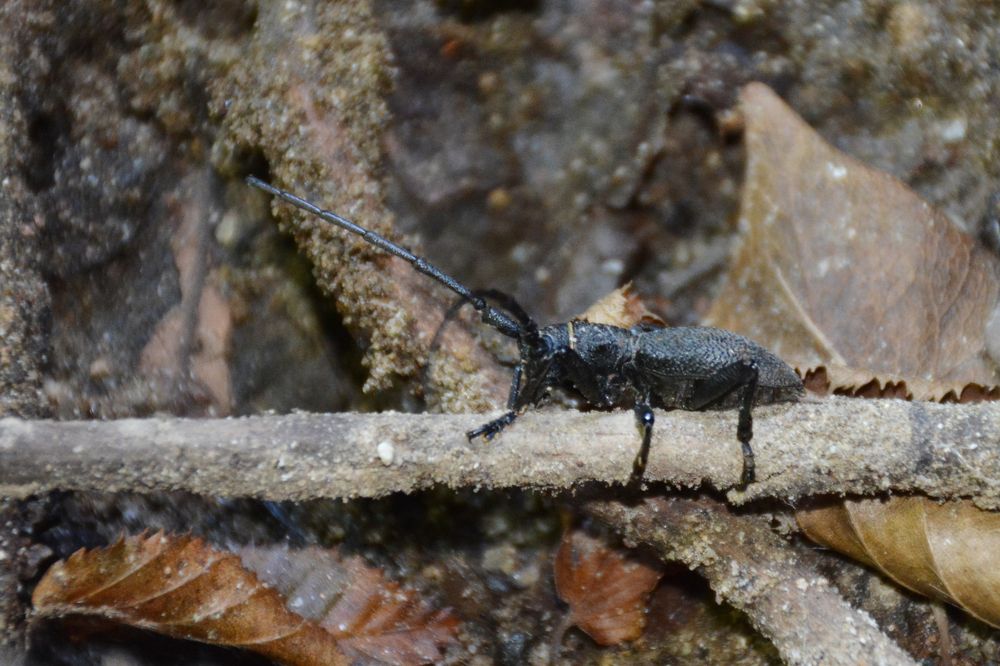 Photograph by Mohammad Amin Ghaffari