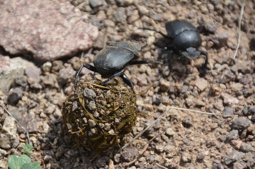 Photograph by Mohammad Amin Ghaffari