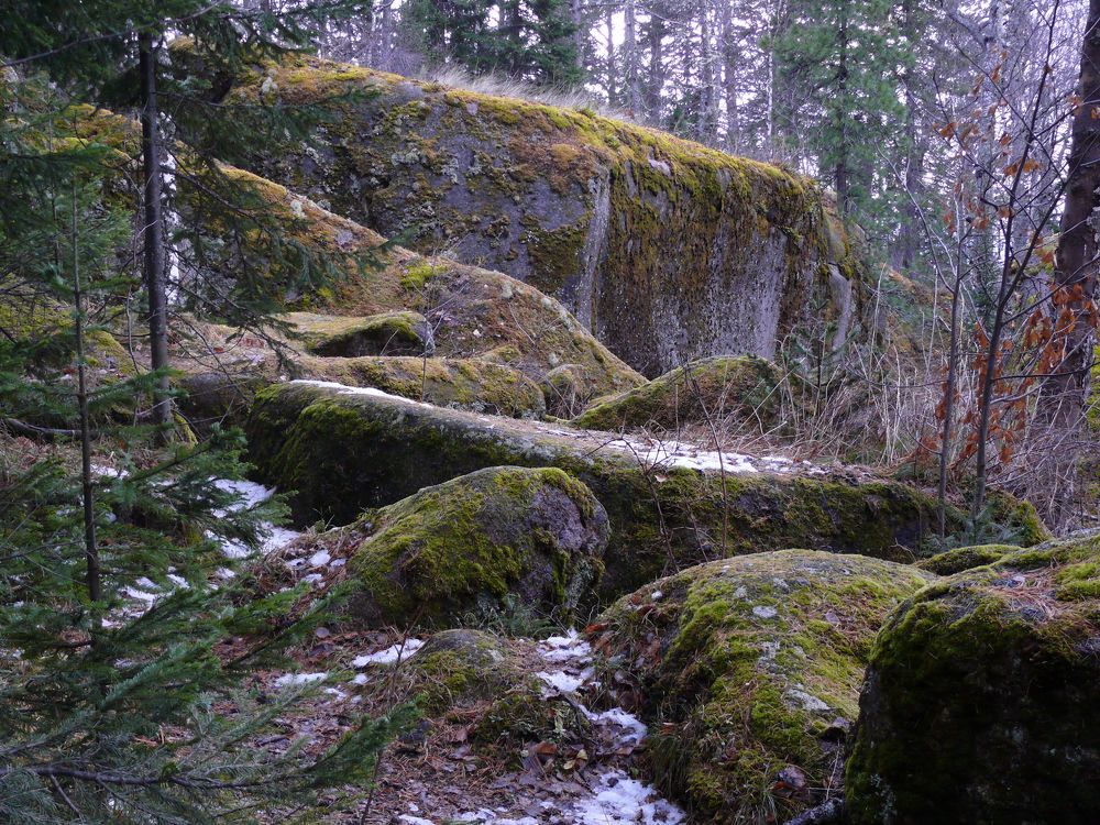 В заповеднике СТОЛБЫ