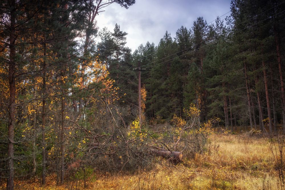 Photograph by Владимир Портуаров