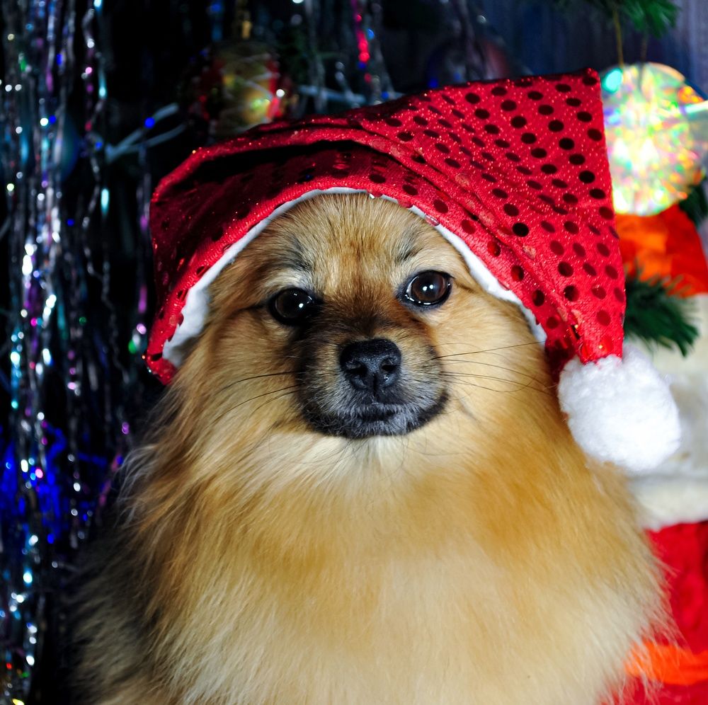 Photograph by Любовь Бусова