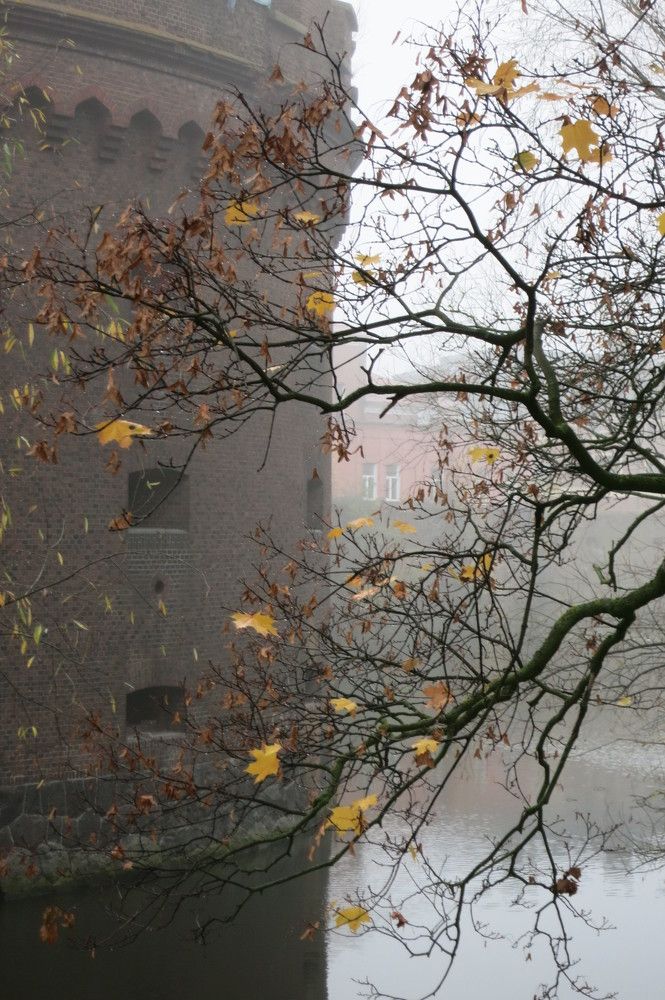 Photograph by Ирина Шведчикова