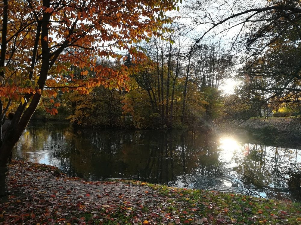 Photograph by Елизавета