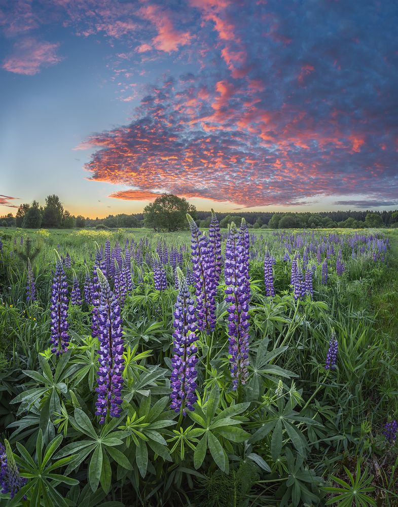 Photograph by Андреев Николай