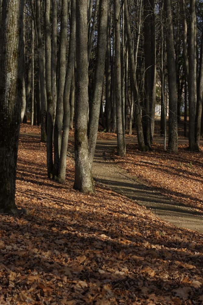 Photograph by Ludmila