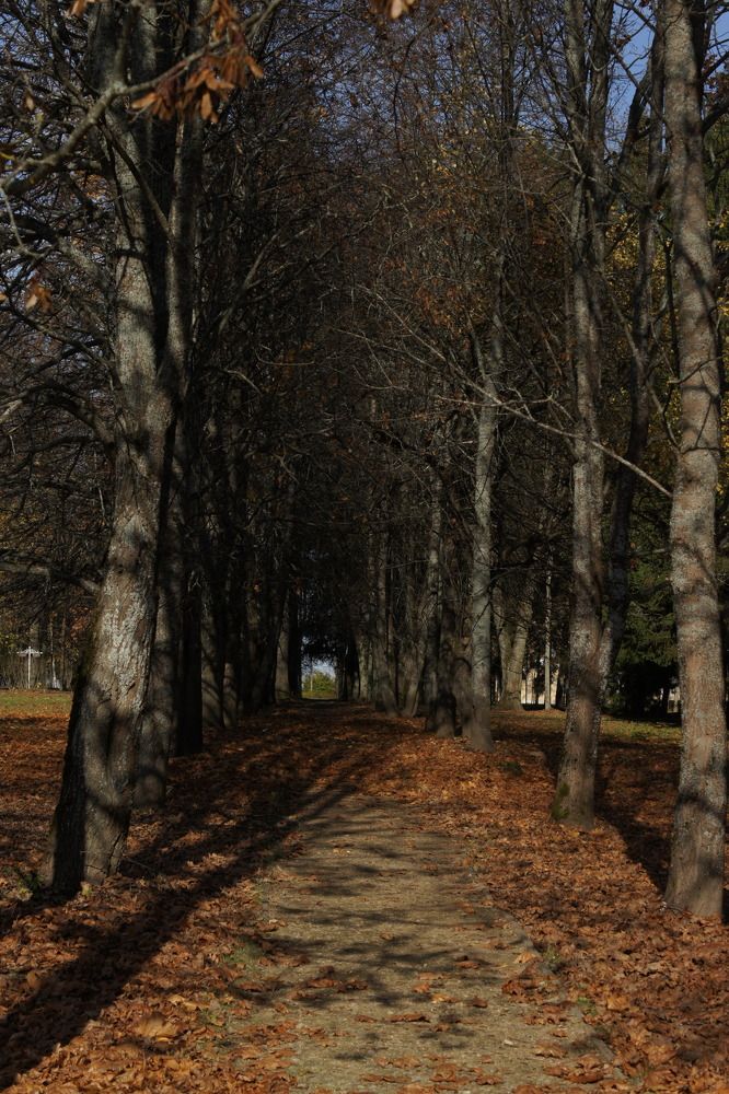 Photograph by Ludmila