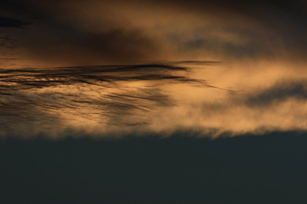 Photograph by Faten Aouini Ben Ahmad