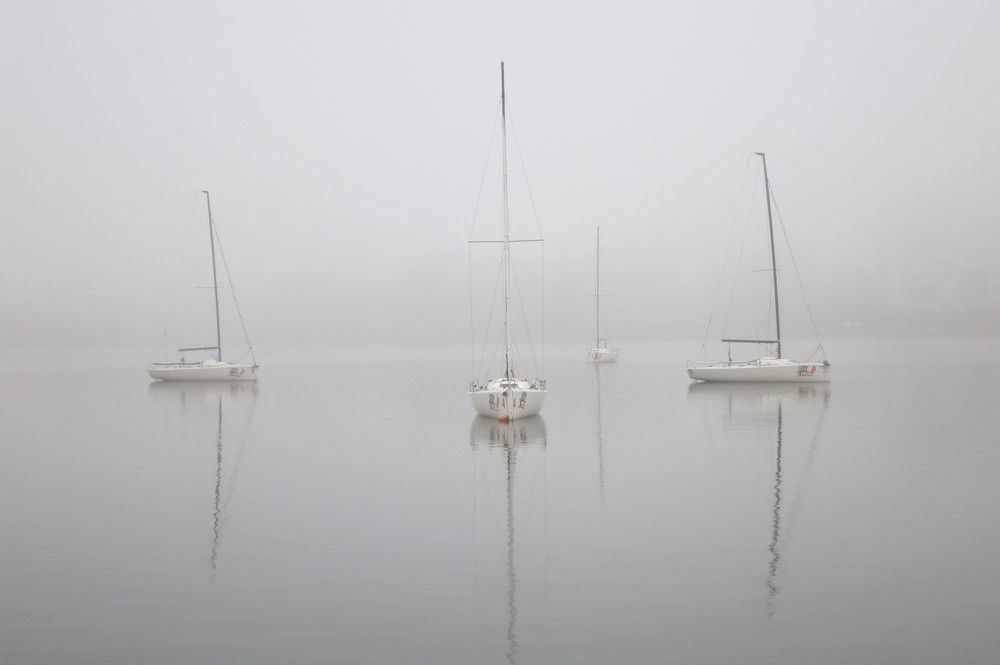 Photograph by Ирина Шведчикова