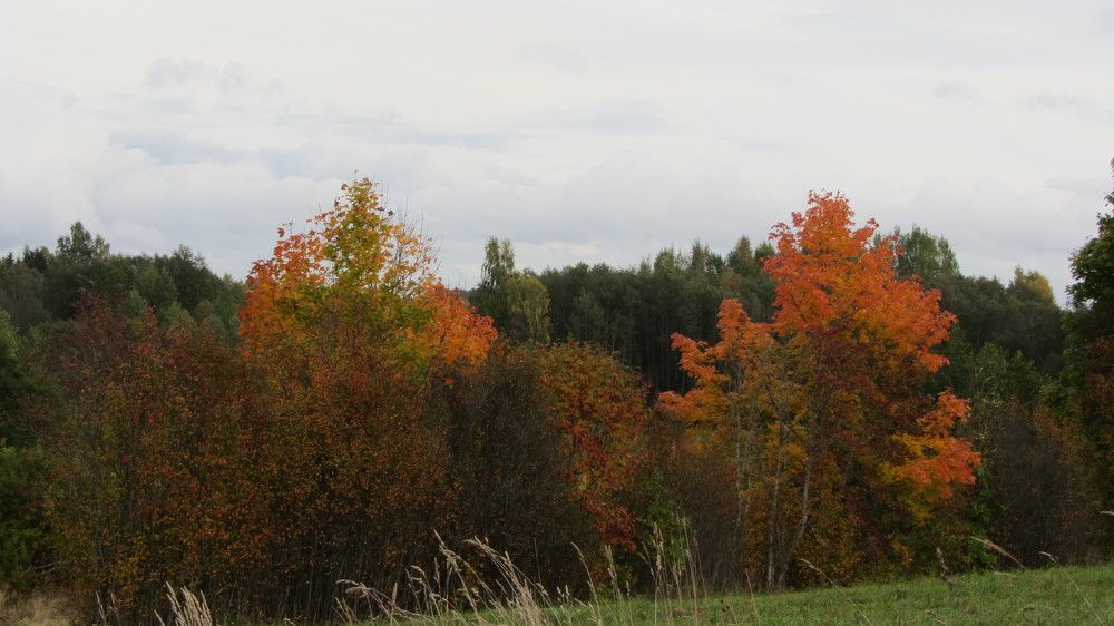 Photograph by Natalja Rogalova