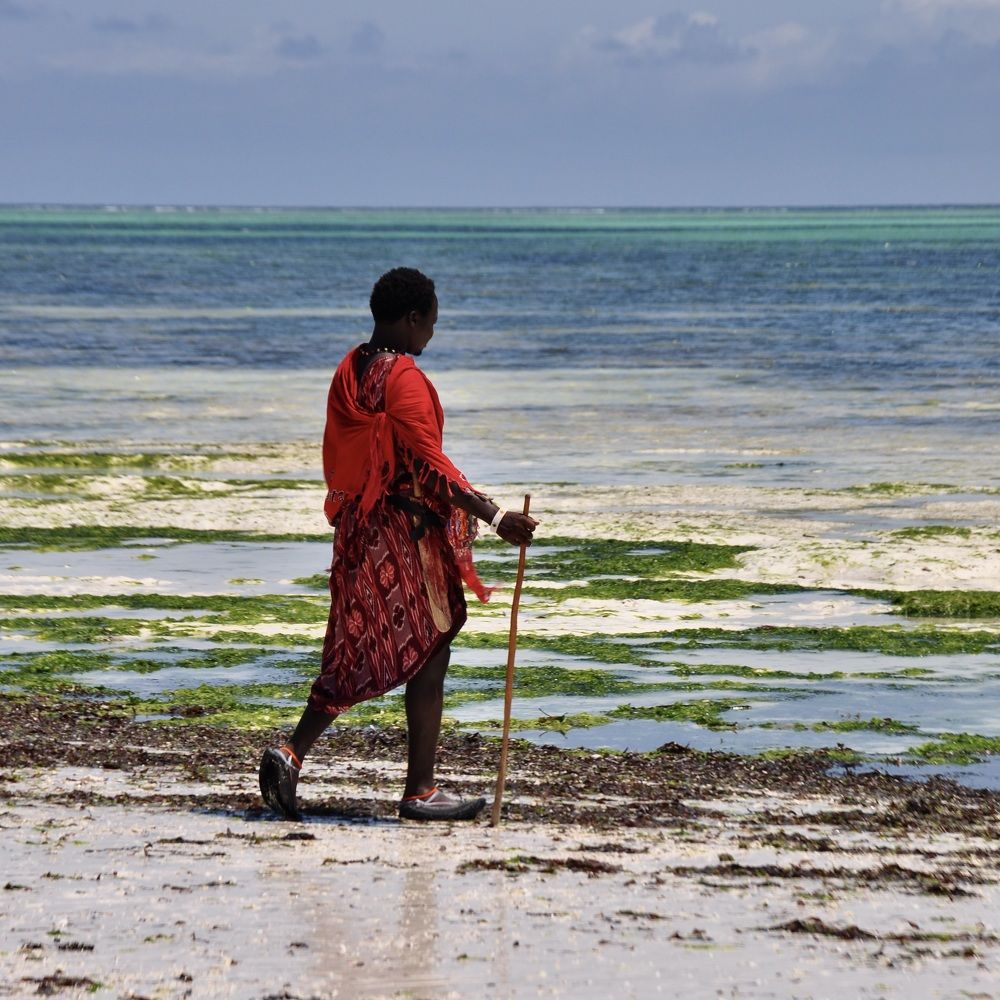 Maasai Warrior on the beach