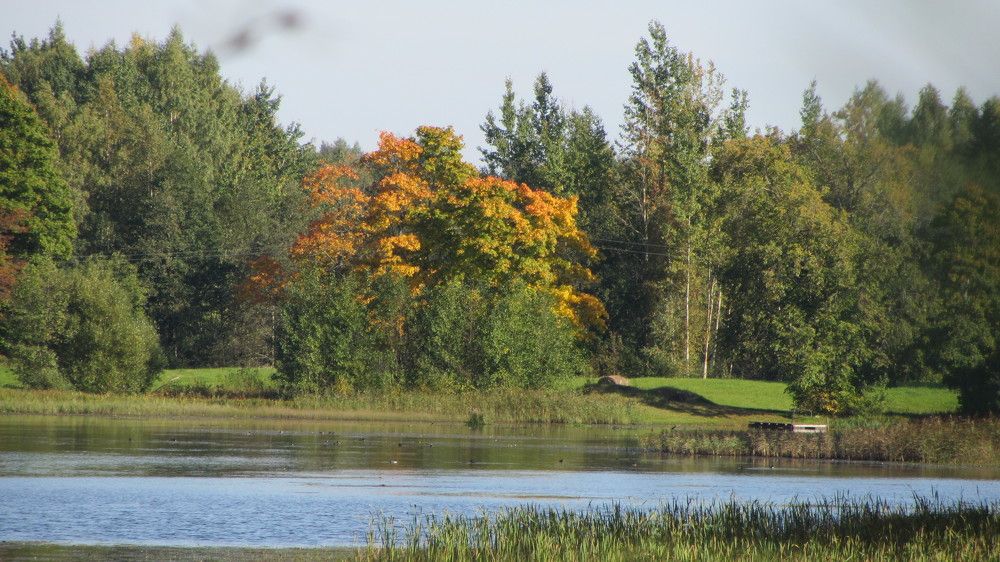 Photograph by Natalja Rogalova