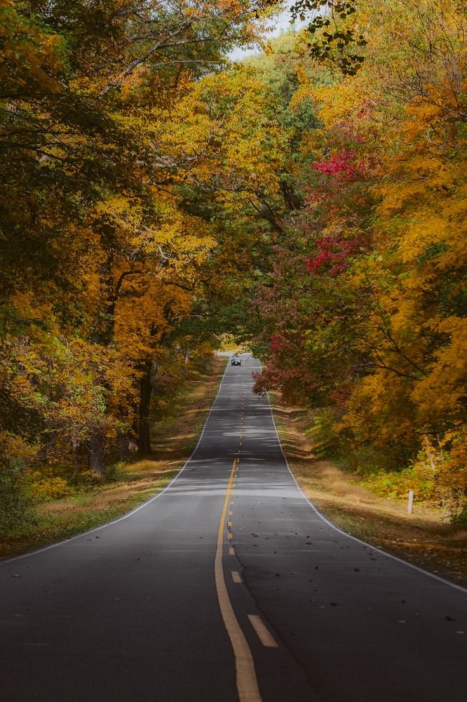 Fall road