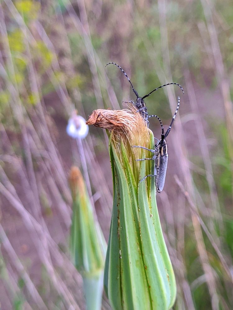 Фотография автора Наталья Синицына