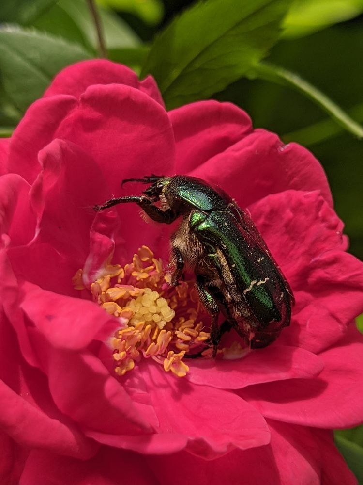 Фотография автора Наталья Синицына