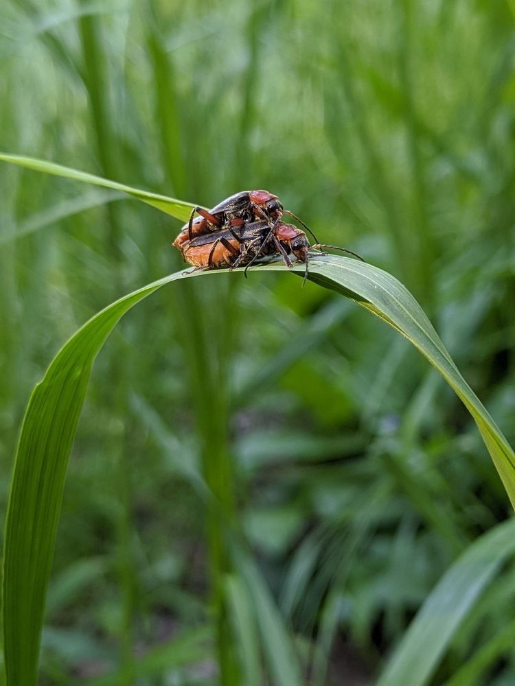 Фотография автора Наталья Синицына