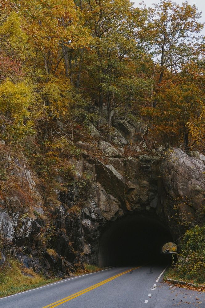 Photograph by Nicolas Bernal