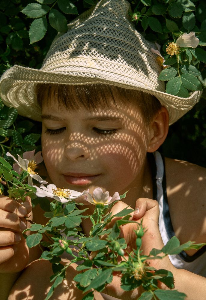 Летние истории