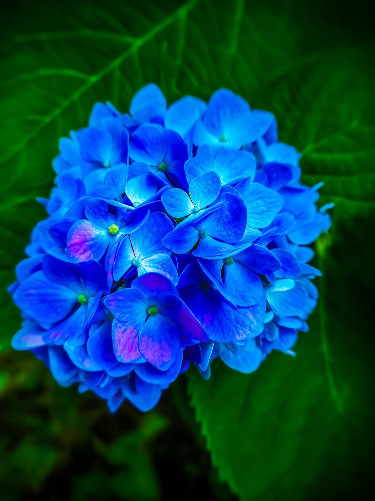 Фотография автора Наталья Синицына