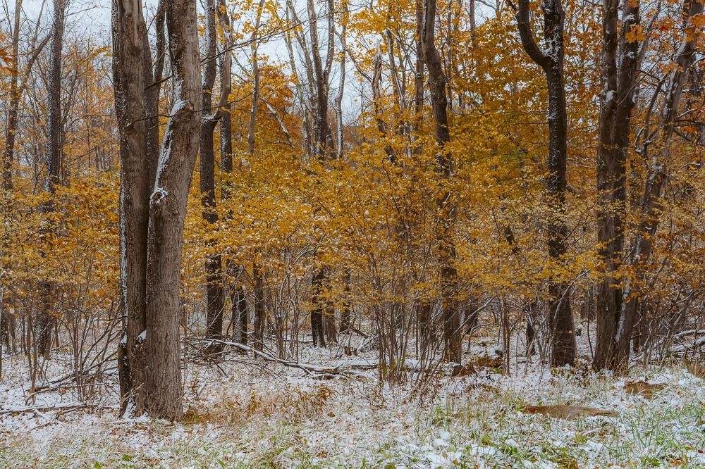 Photograph by Nicolas Bernal