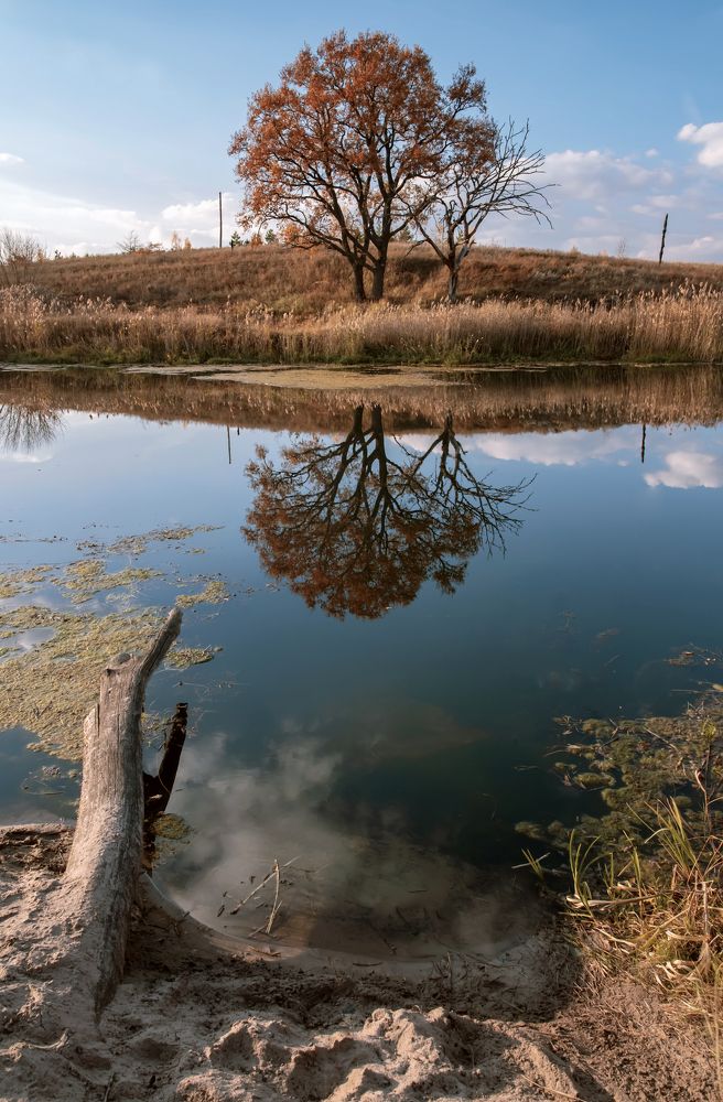 Настроение