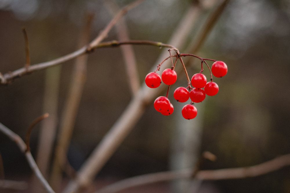 Photograph by Марина Слепова