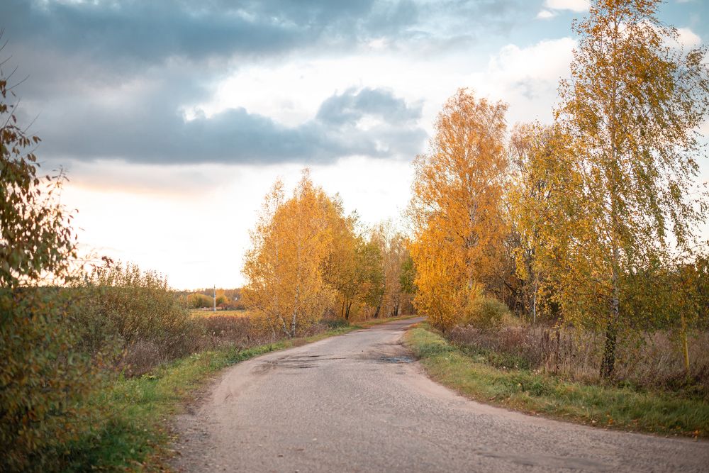 Photograph by Мария Купревич