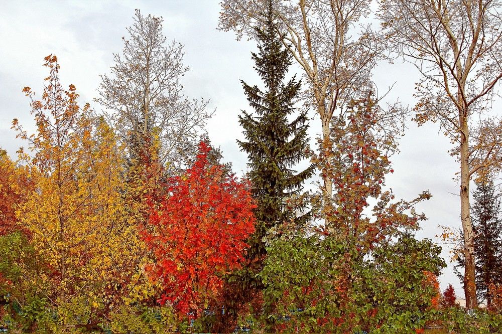 Photograph by Илья Чирков