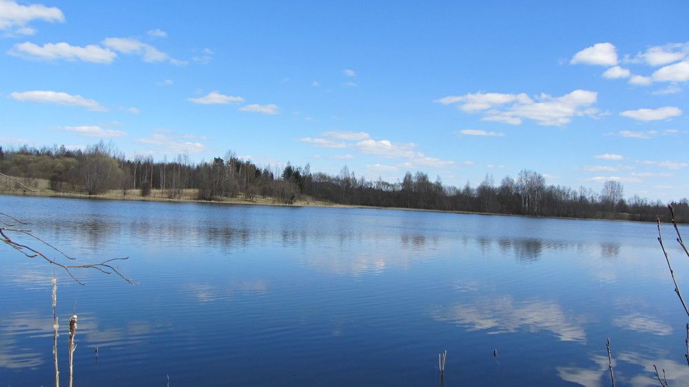 Photograph by Natalja Rogalova