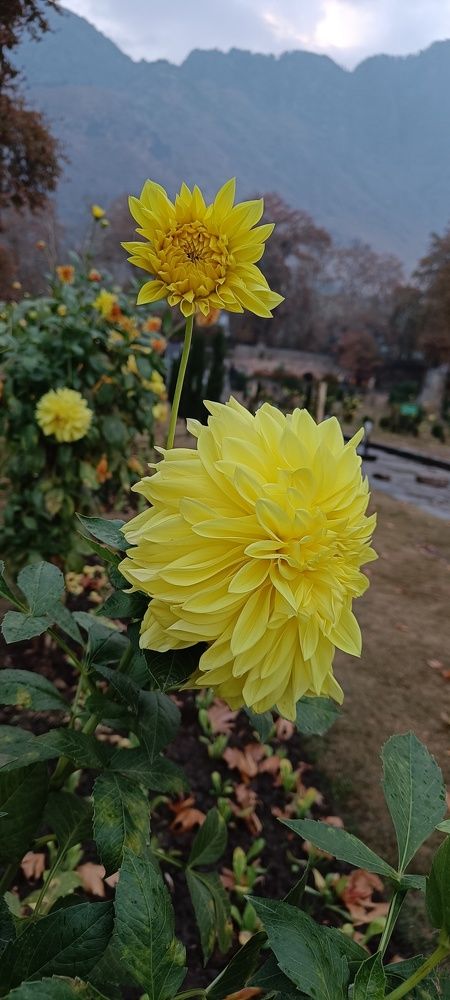 Photo #8286830