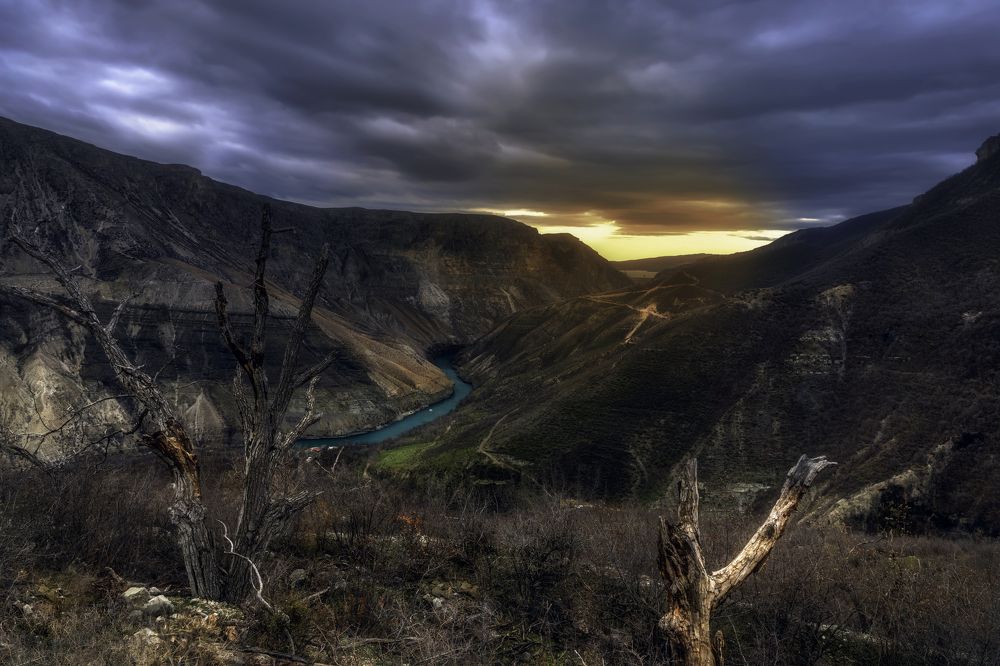 Photograph by Ирина Ульянова