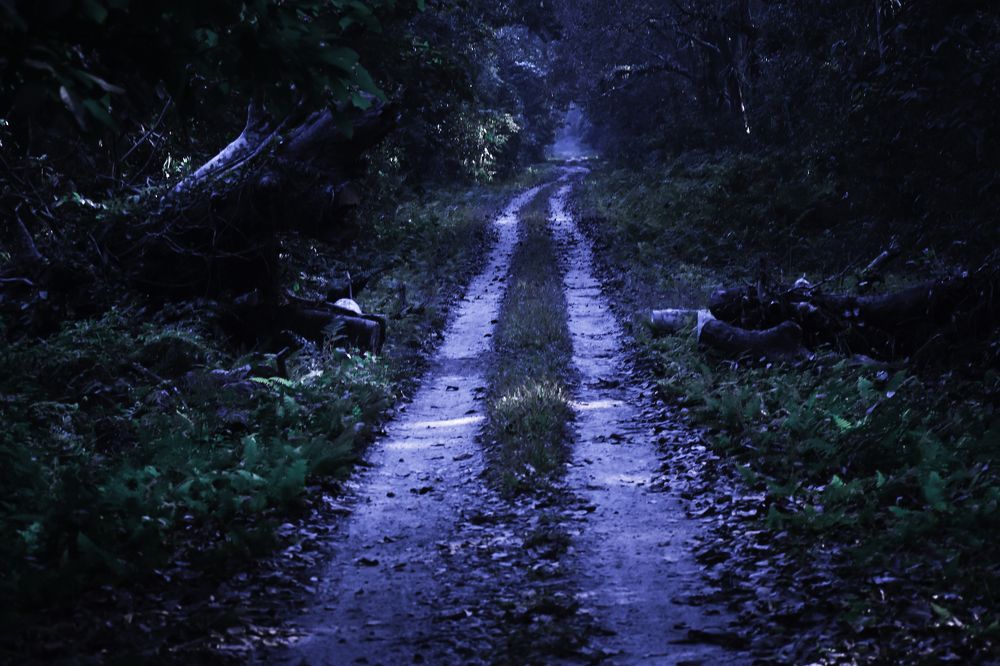 Photograph by Subhadip Kanjilal