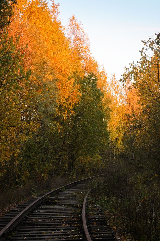 Photograph by Надежда Сидорова
