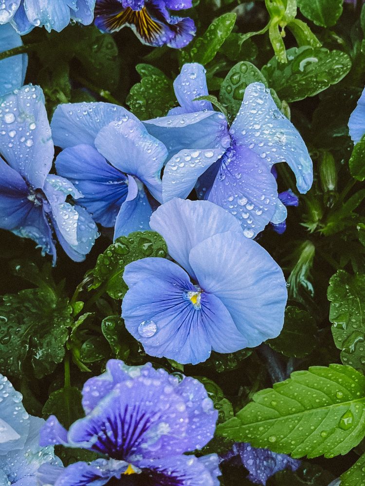 Photograph by Виктория Лавринович