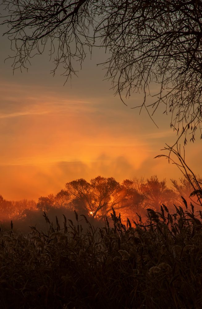 Небесный огонь