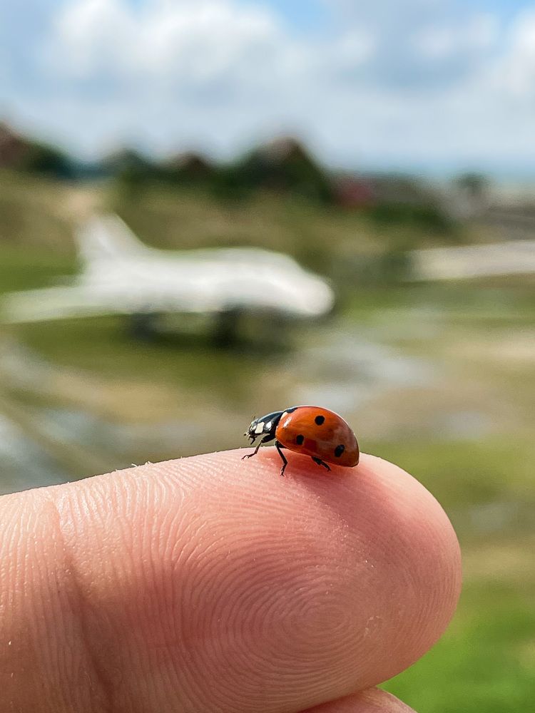 Photograph by Гурский Денис