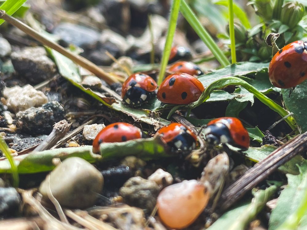 Photograph by Гурский Денис