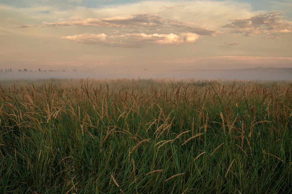 Первые часы