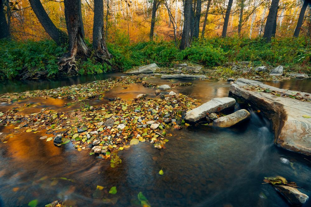 Photograph by Алексей Курочкин