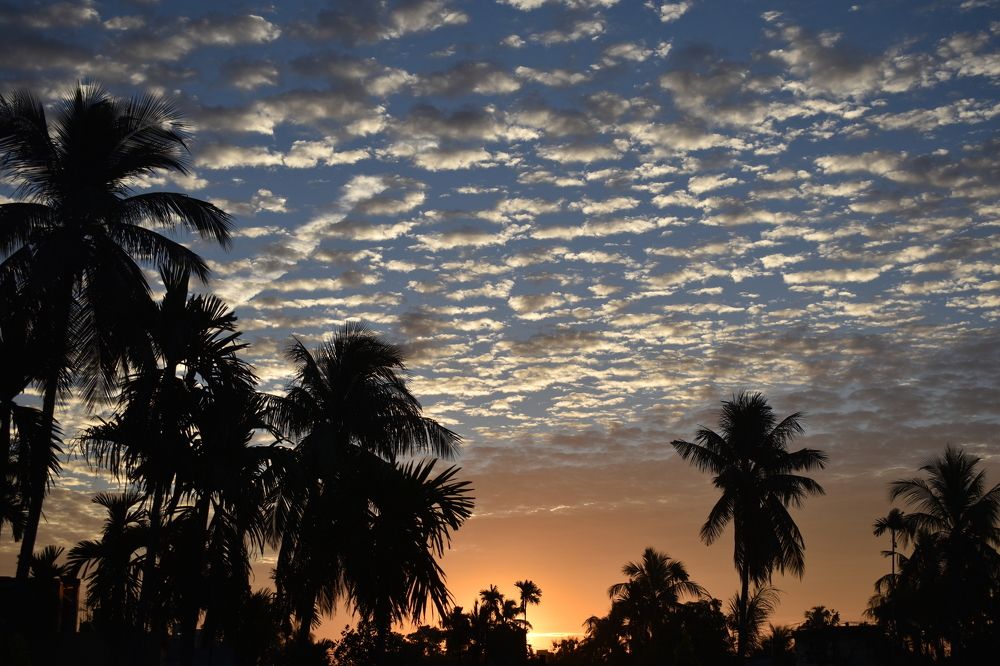 Photograph by Subhadip Kanjilal