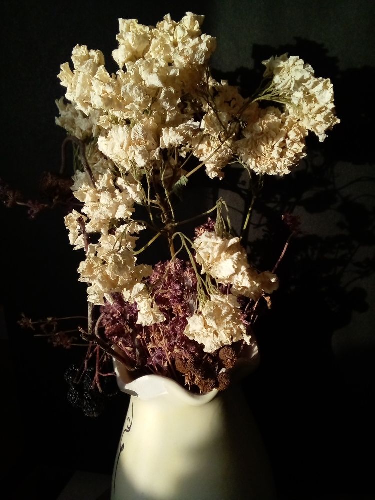 Photograph by Людмила Баглей